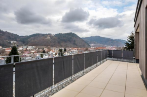Felsenkeller Appartements Waldkirch